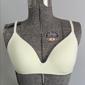 PINK Victoria's Secret Light Green Bra and Dark Green